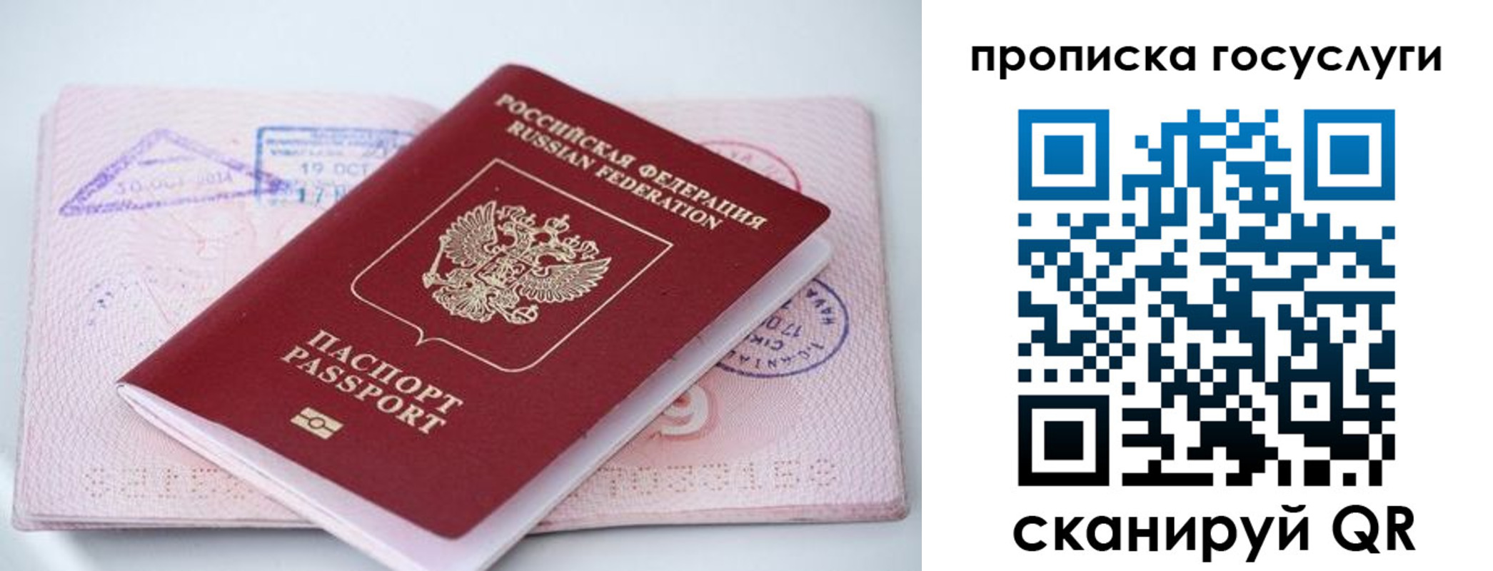 прописка законно в Камне-на-Оби